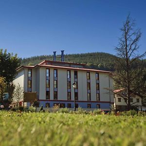 Hotel Balneario Areatza Nº 01224